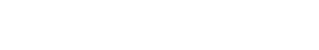 Veesion logo